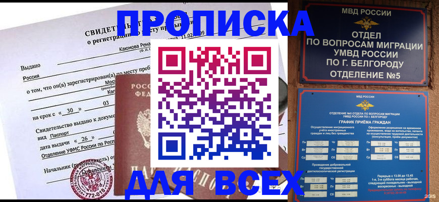 прописка поиск в Дальнегорске